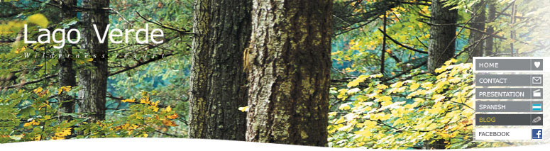 LagoVerde_Wilderness_Resort_By_El_Aura_Los_Alerces_Patagonia_Argentina