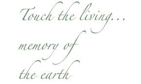 Texto-presentacion-parque-nacional-los-alerces